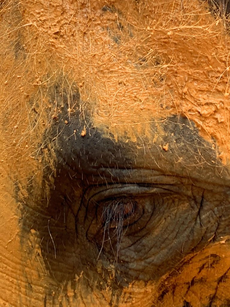 Cliquer pour voir la rubrique Voyage